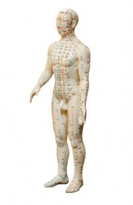 body acupuncture dylan stein new york