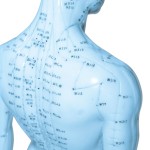dylanstein acupuncture back neck and jaw points Acupuncture points on the back, neck and jaw